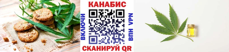 как найти наркотики  Городище  дарк нет телеграм  Cannafood марихуана 