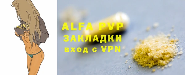 PSILOCYBIN Богданович