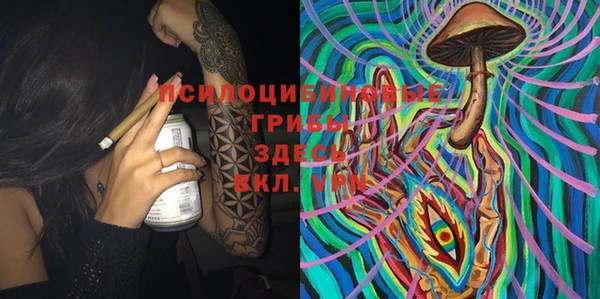 прущая мука Богородицк