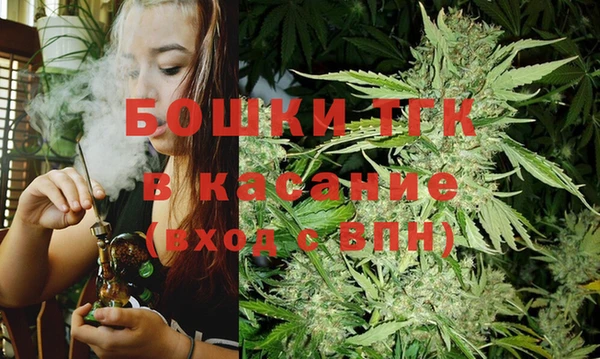 PSILOCYBIN Богданович