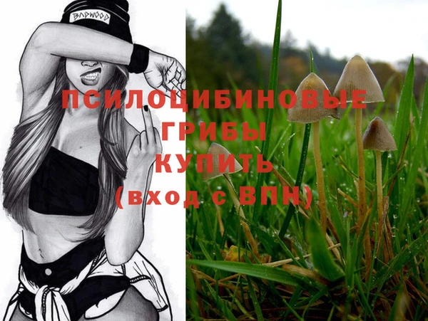 PSILOCYBIN Богданович